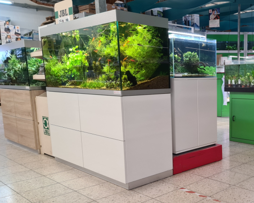 viele Aquarien