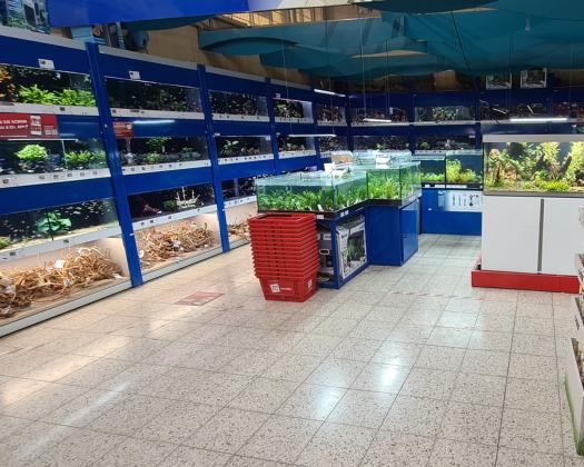 Abteilung Aquaristik im Laden